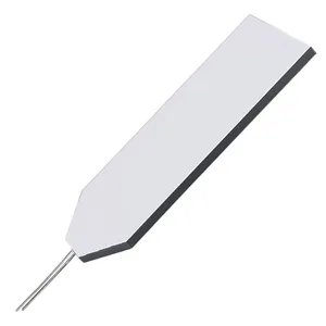 Display Backlights