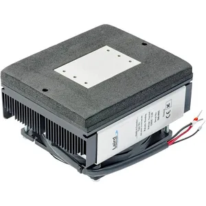 Thermoelectric Assemblies